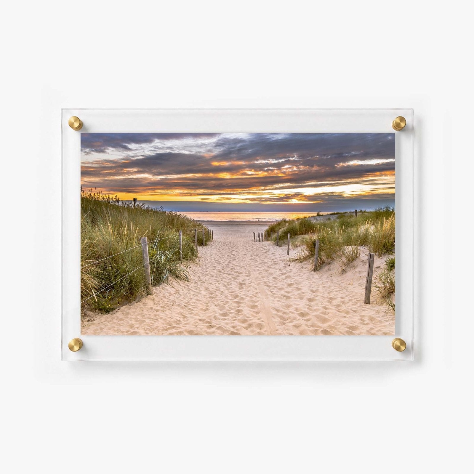 Dune Walk Acrylic Wall Art Print