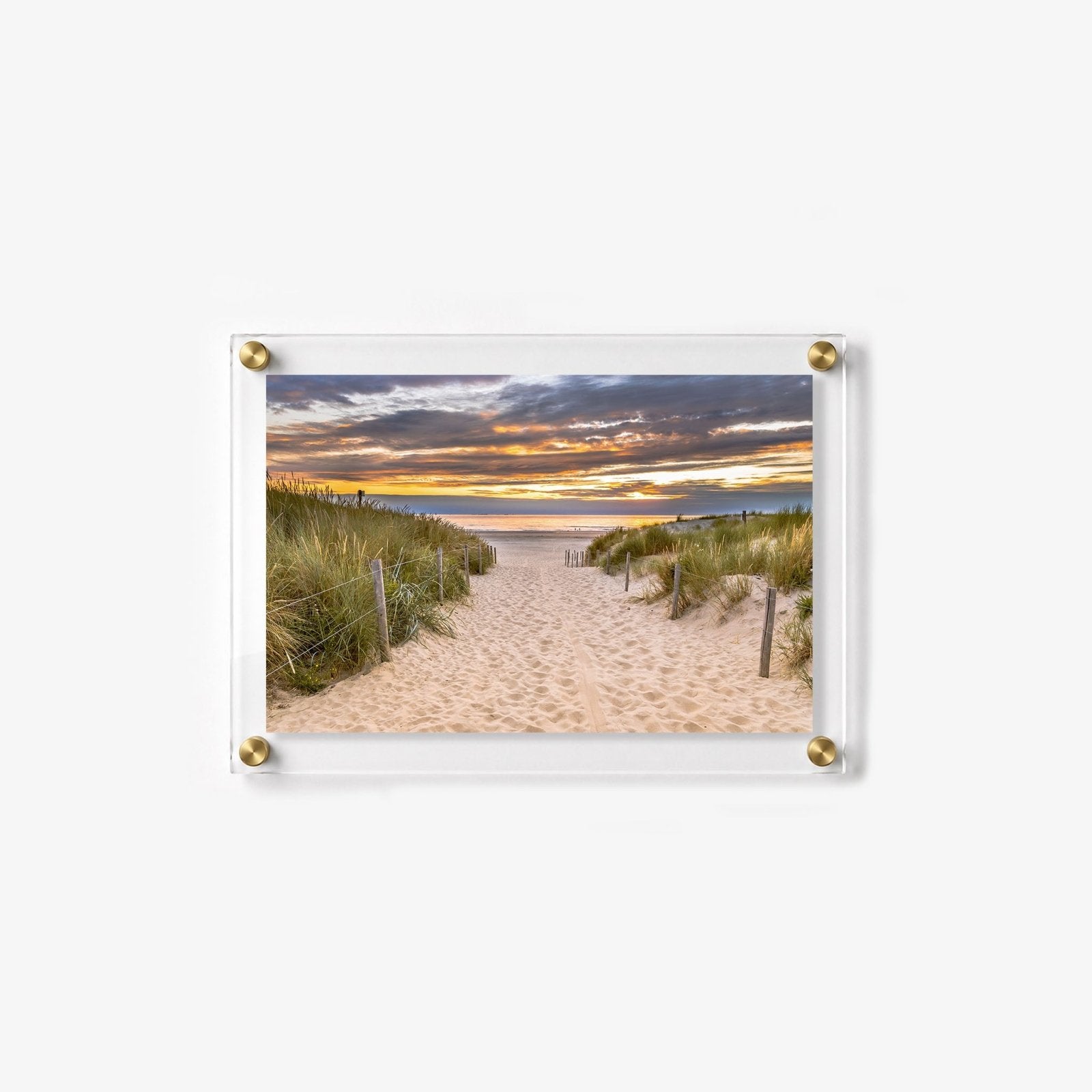 Dune Walk Acrylic Wall Art Print