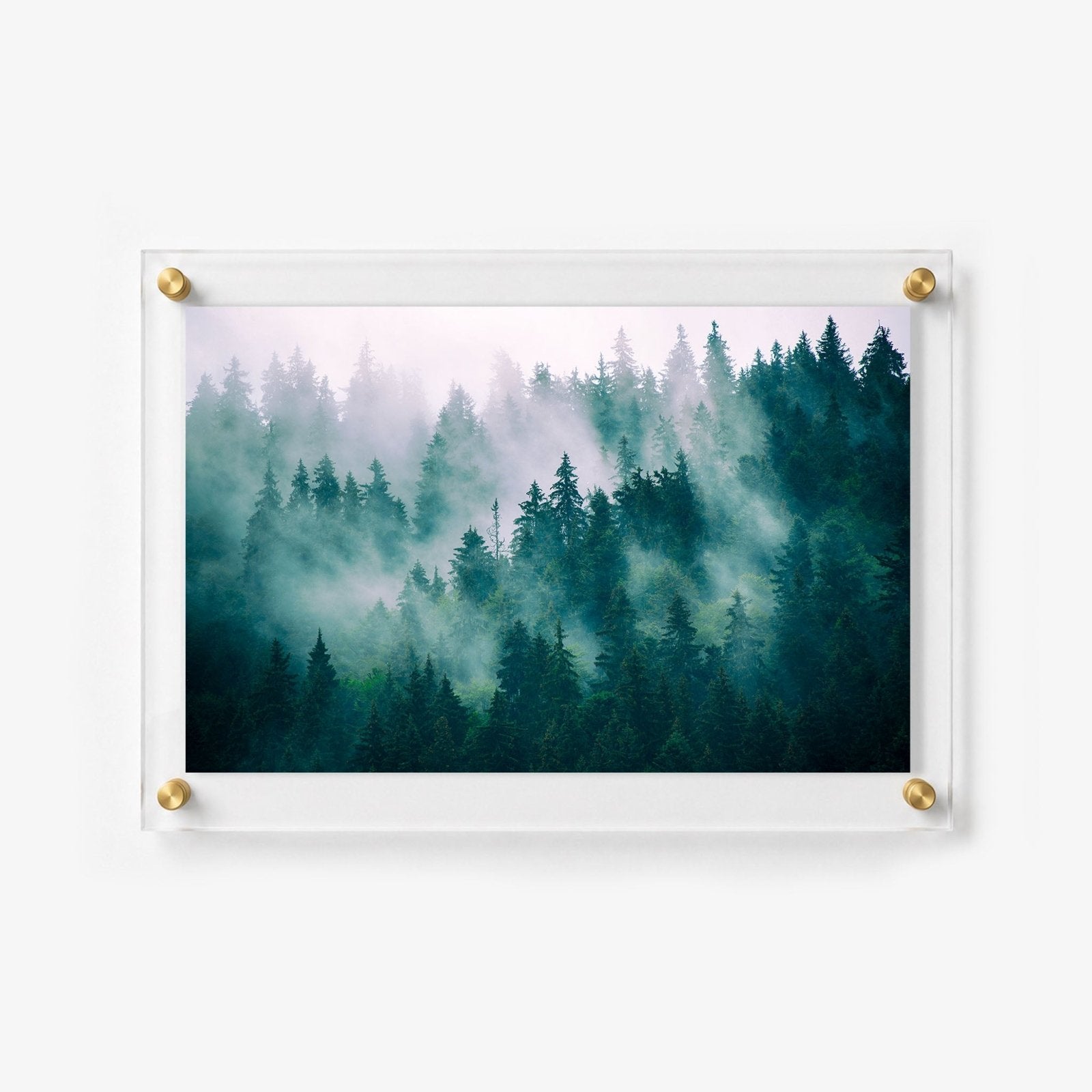 Evergreen Haze Acrylic Wall Art Print