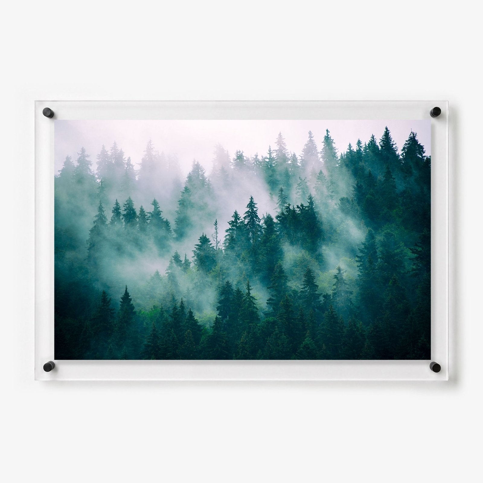 Evergreen Haze Acrylic Wall Art Print