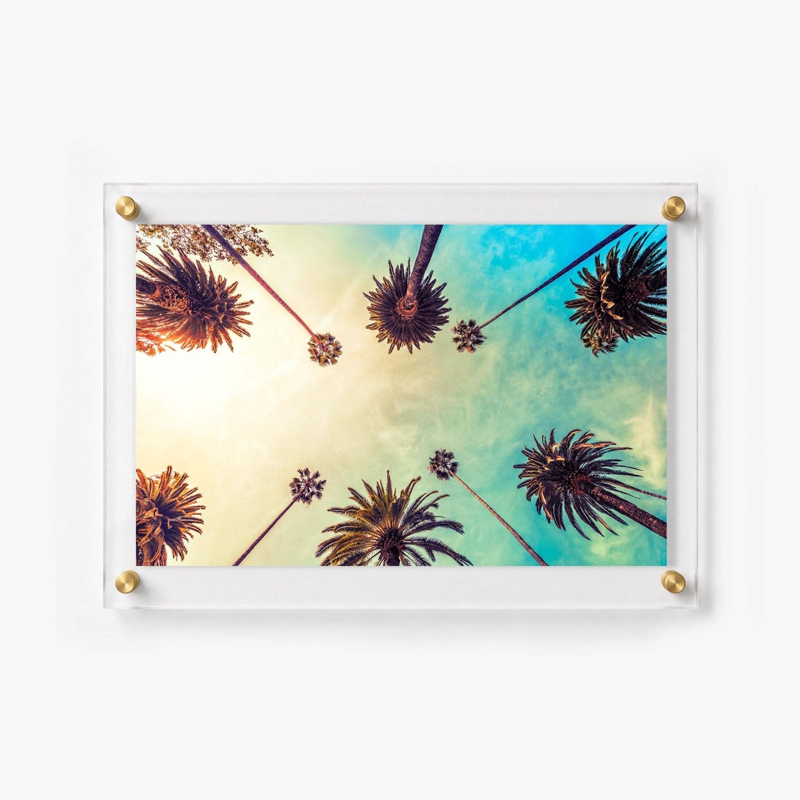 Golden Hour Palms Acrylic Wall Art Print