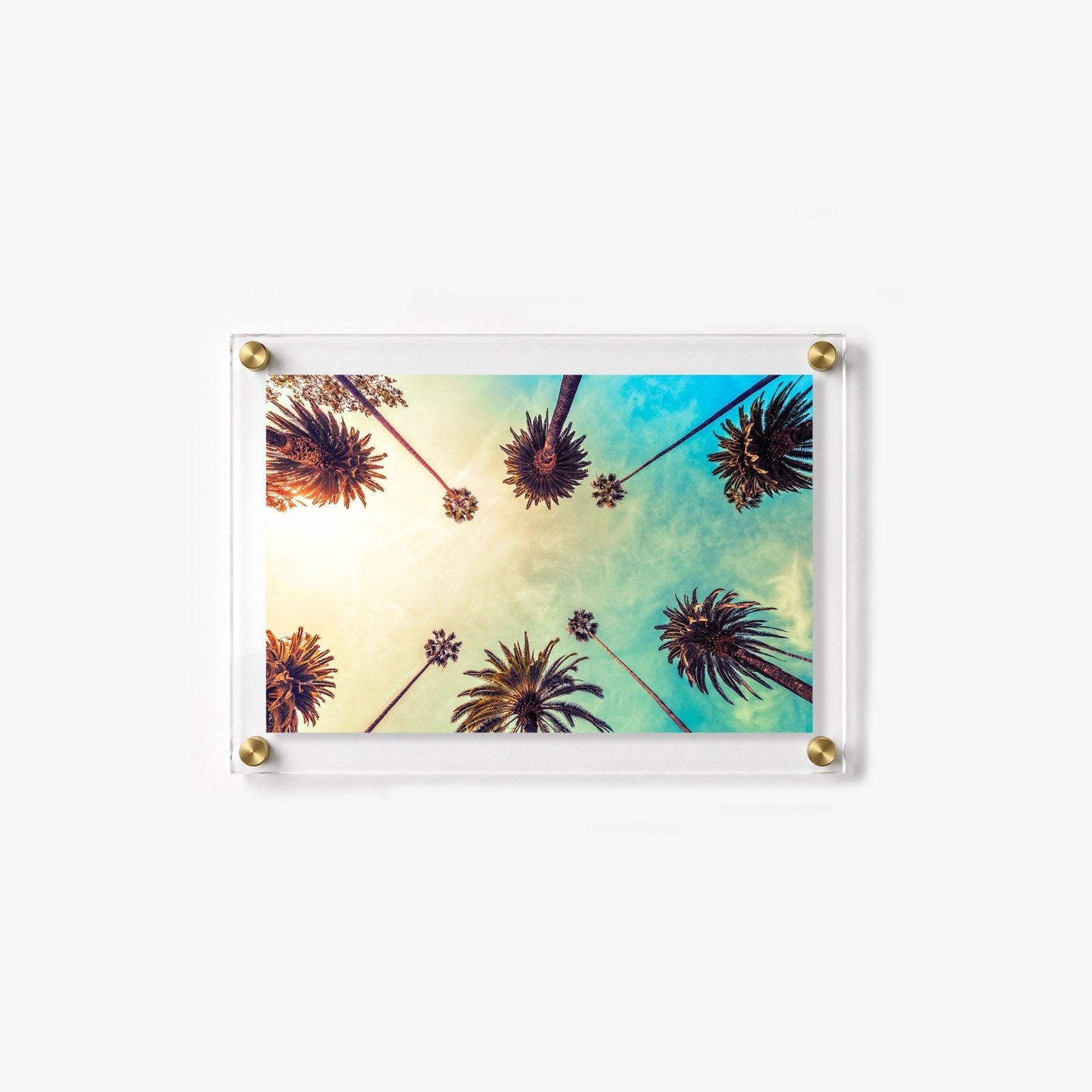 Golden Hour Palms Acrylic Wall Art Print