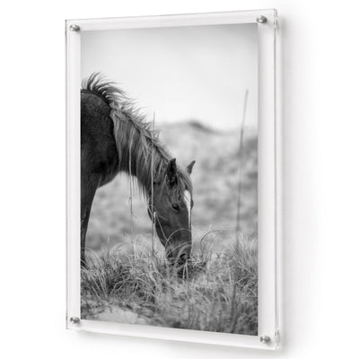 Hay There Black & White Acrylic Wall Art Print