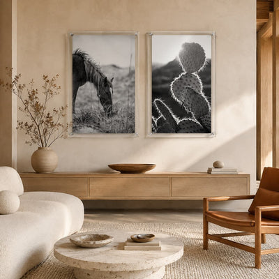 Hay There Black & White Acrylic Wall Art Print