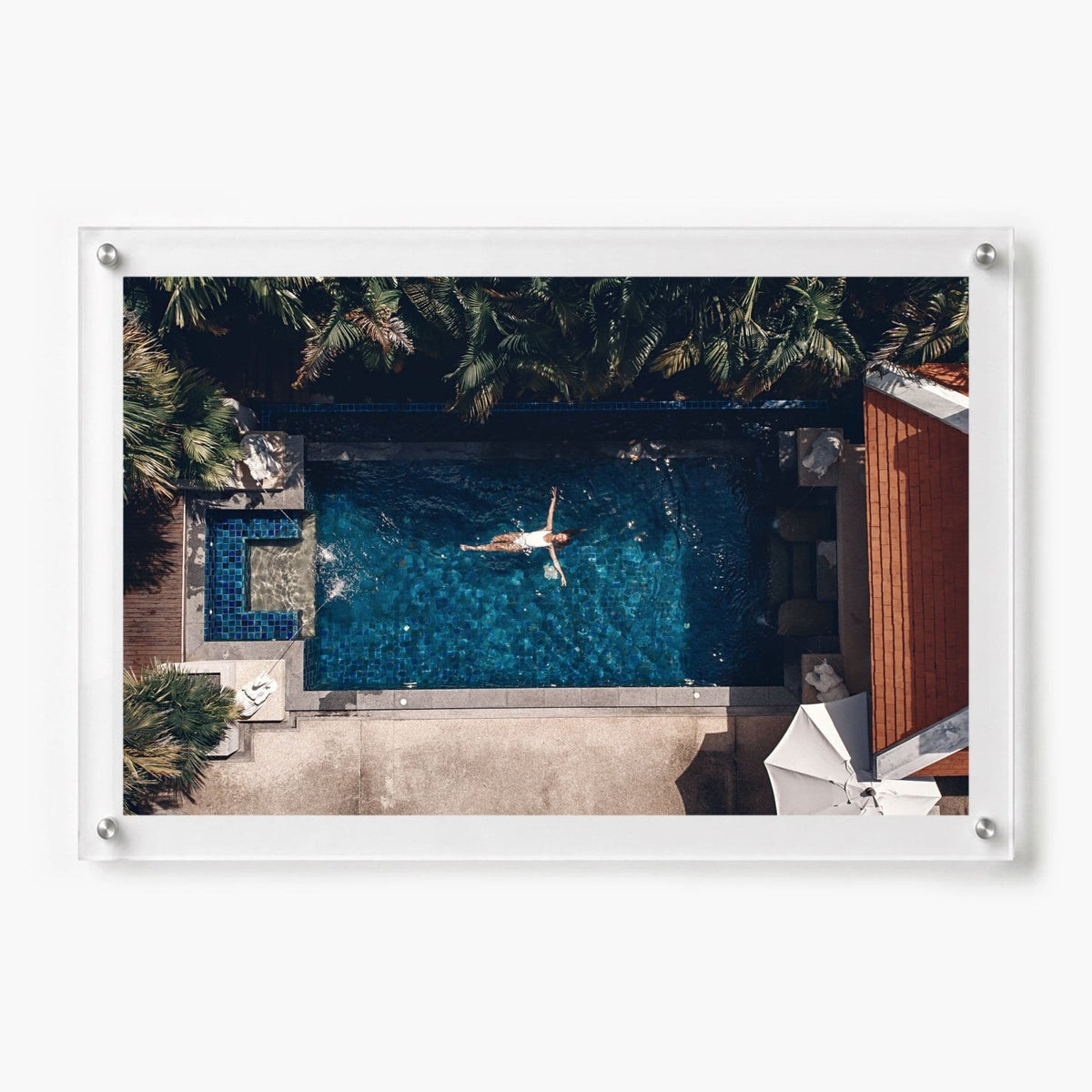 Lap of Luxury Acrylic Wall Art Print