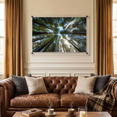 Look Up Acrylic Wall Art Print
