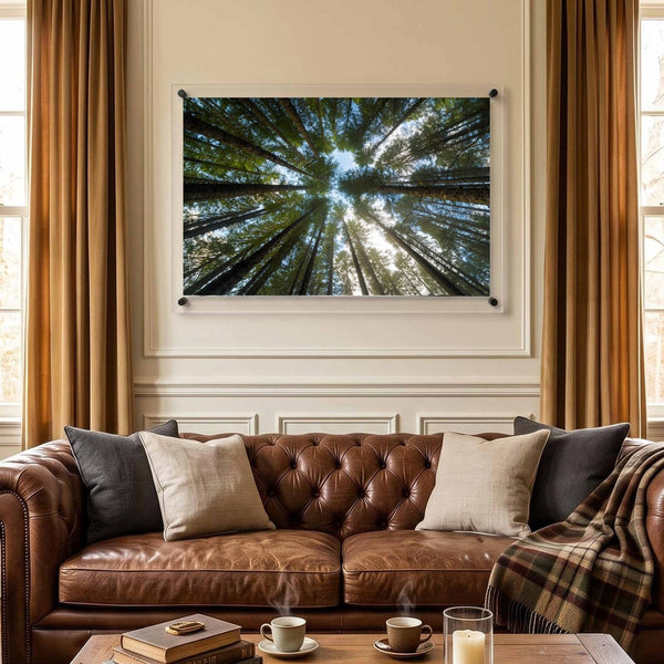 Look Up Acrylic Wall Art Print