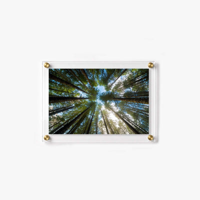 Look Up Acrylic Wall Art Print