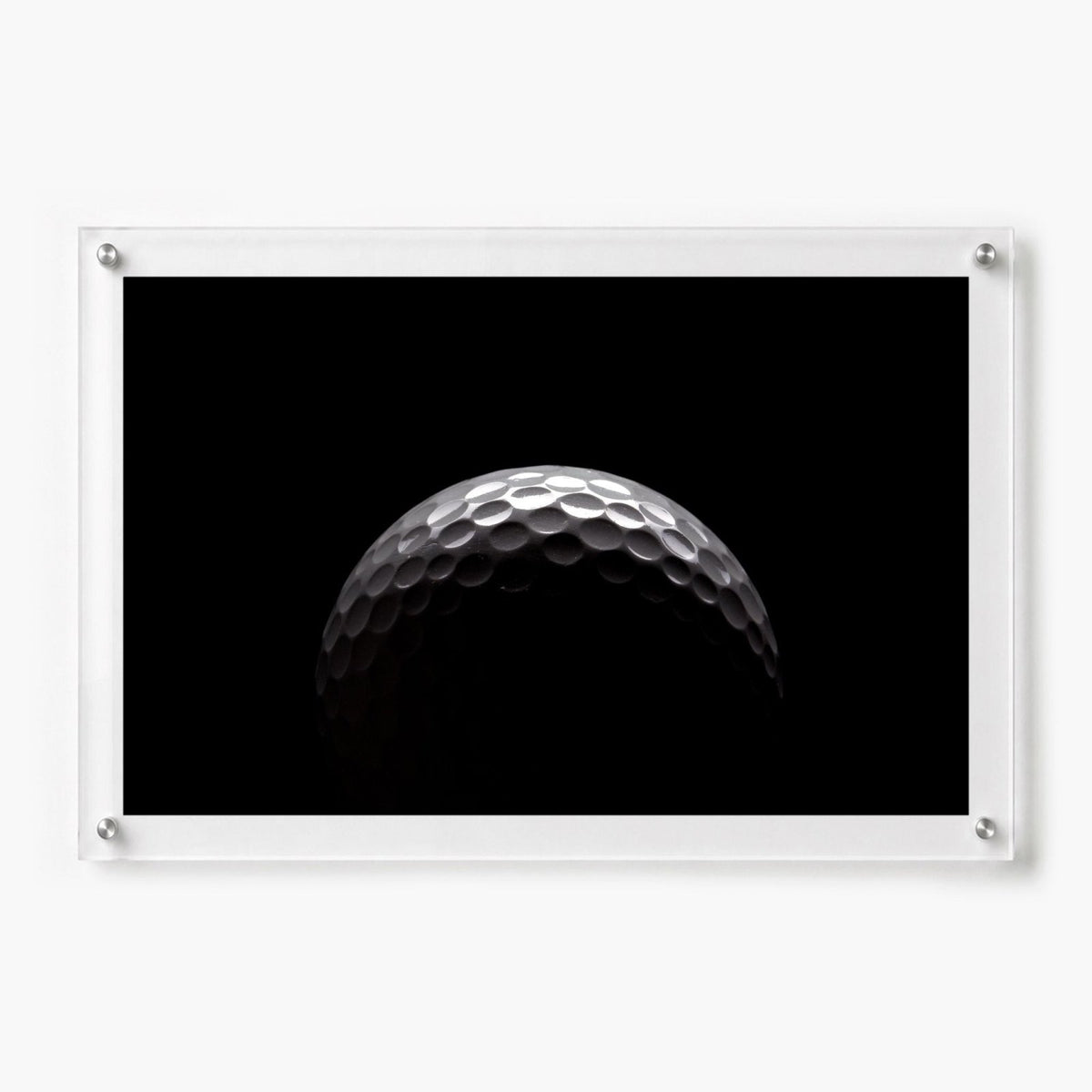 Midnight Mulligan Acrylic Wall Art Print