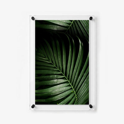 Midnight Palm Acrylic Wall Art Print