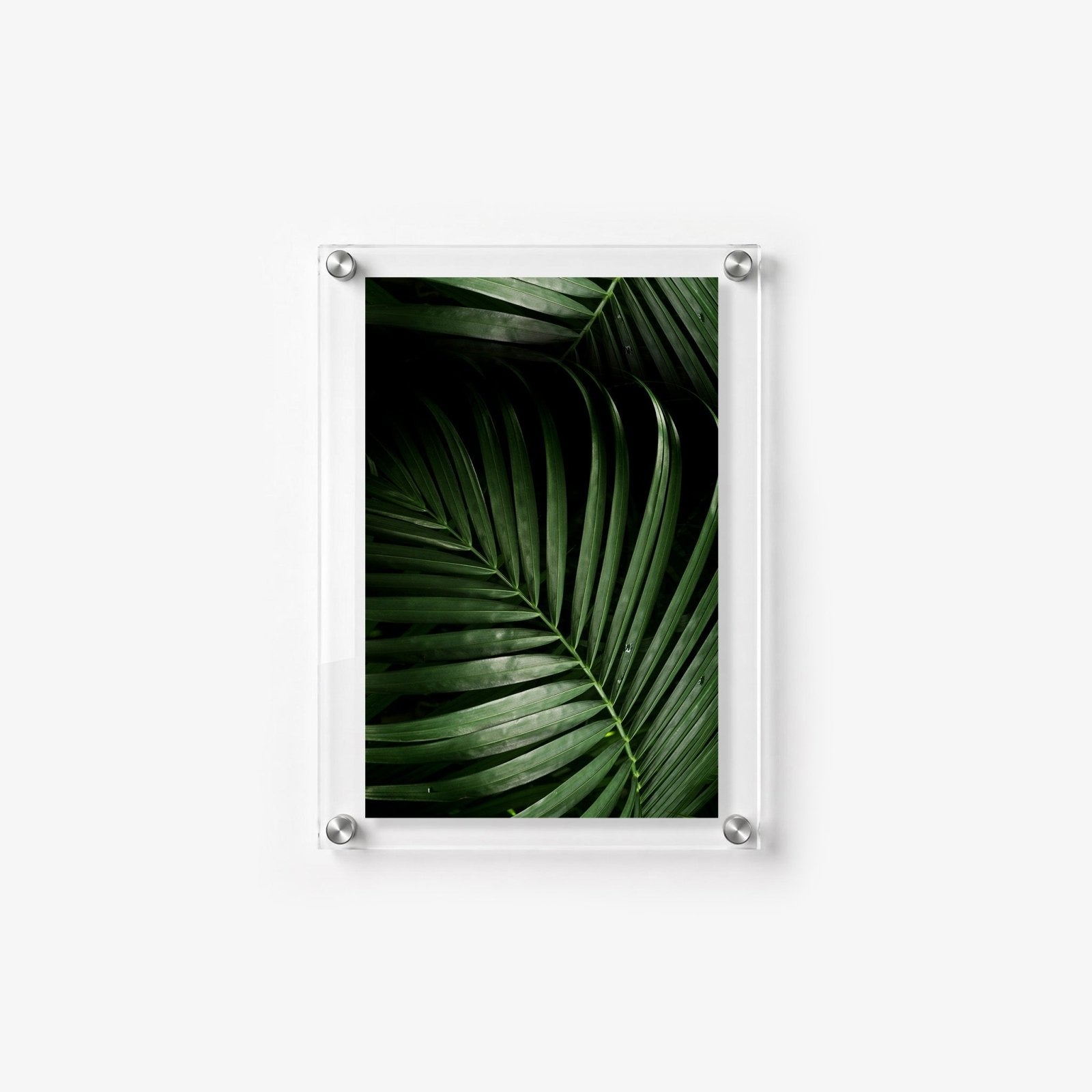 Midnight Palm Acrylic Wall Art Print