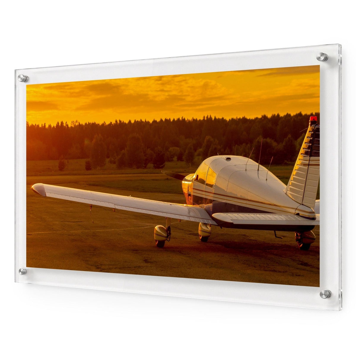 Piper, Cleared for Sunset Acrylic Wall Art Print