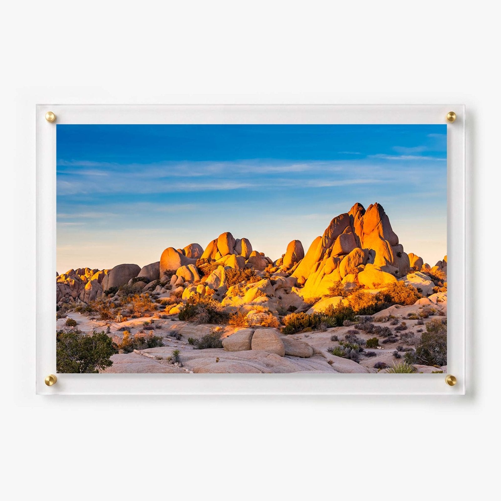 Rock Garden Acrylic Wall Art Print
