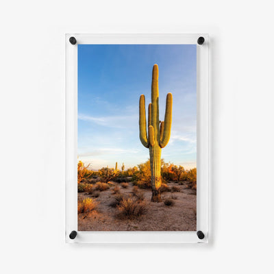 Standing Tall Acrylic Wall Art Print