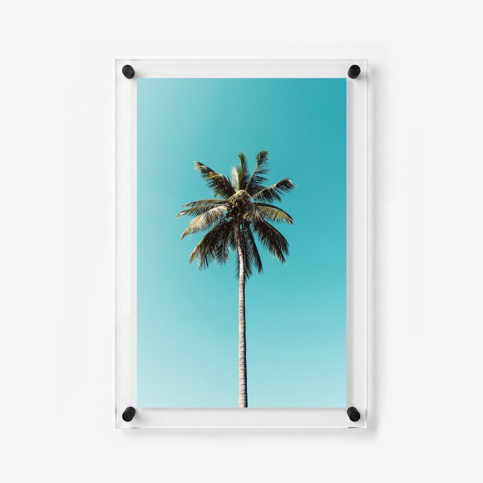 The Lone Palm Acrylic Wall Art Print