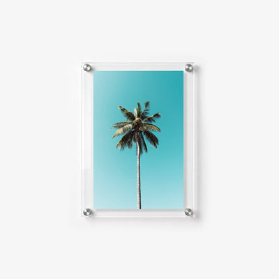 The Lone Palm Acrylic Wall Art Print