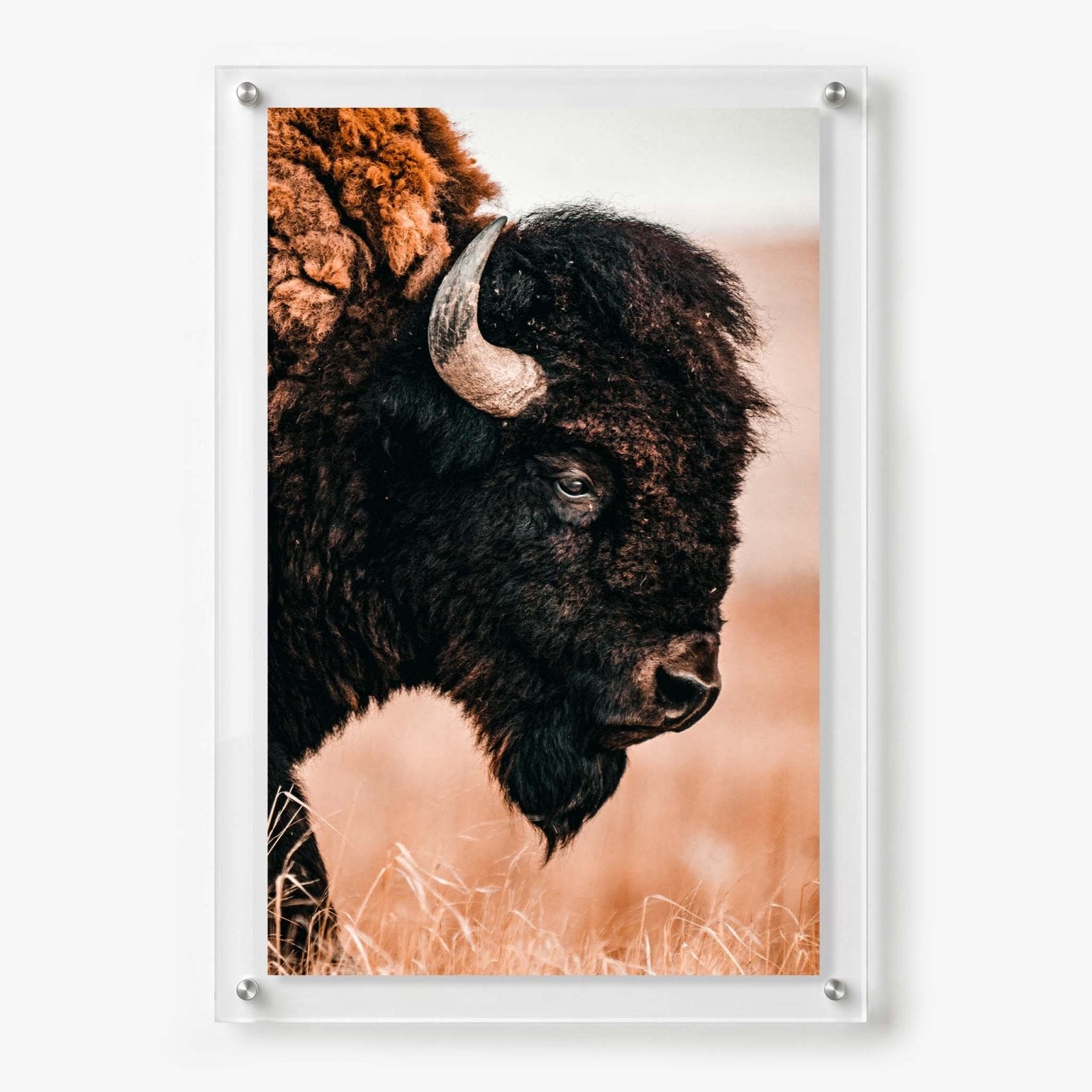 The Lookout Acrylic Wall Art Print