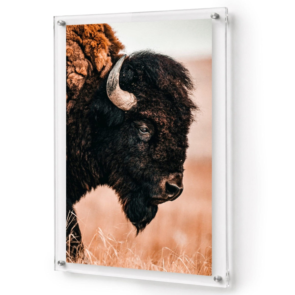 The Lookout Acrylic Wall Art Print