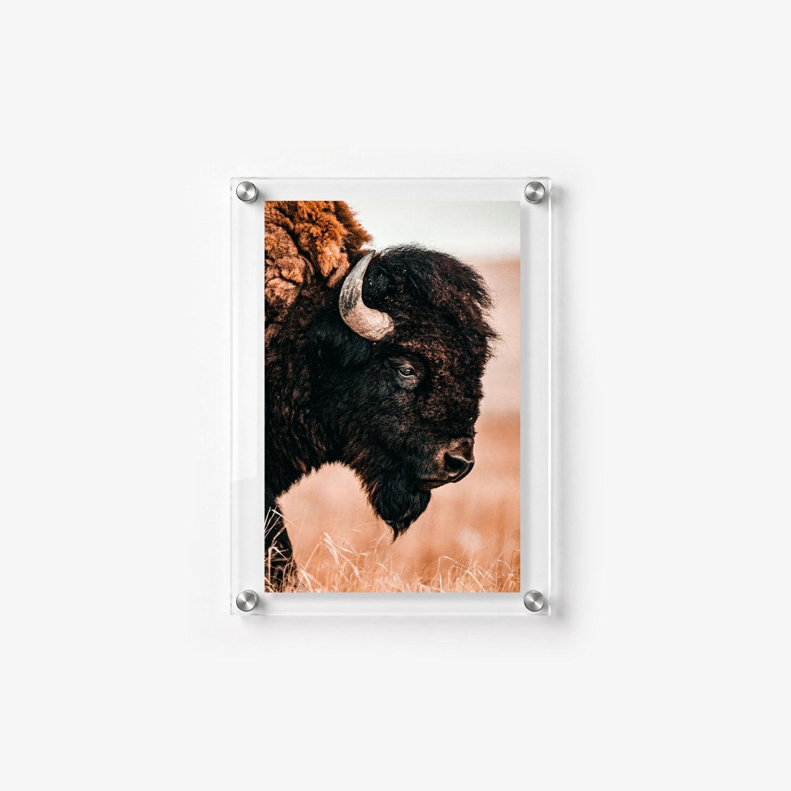 The Lookout Acrylic Wall Art Print