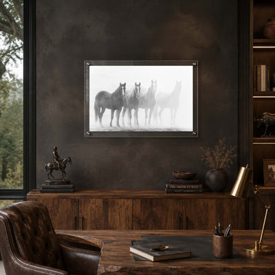 Through the Mist Acrylic Wall Art Print