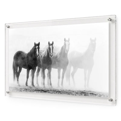 Through the Mist Black & White Acrylic Wall Art Print