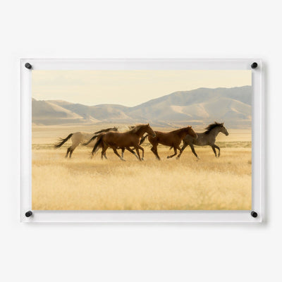 Valley Run Acrylic Wall Art Print