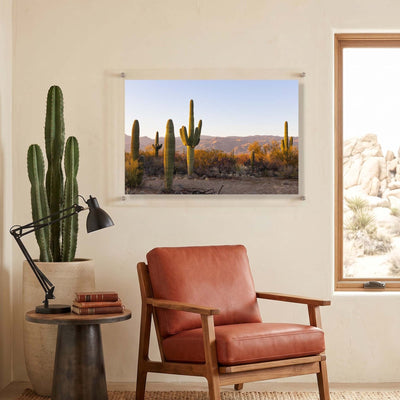 Desert Lineup Acrylic Wall Art Print