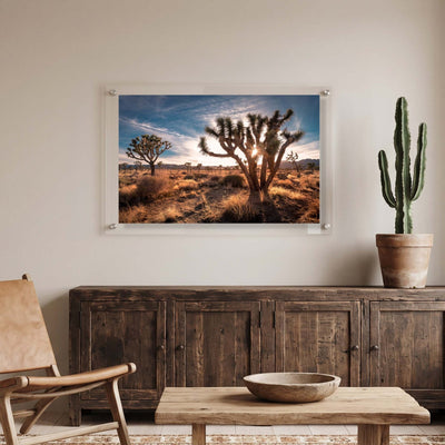Desert Revival Acrylic Wall Art Print