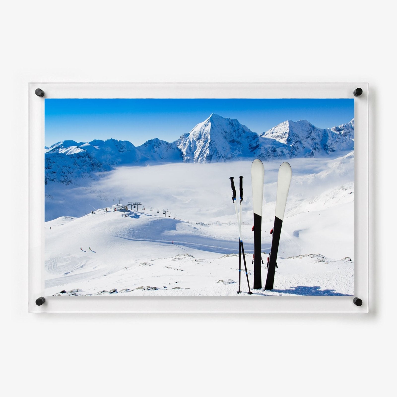 First Tracks Acrylic Wall Art Print