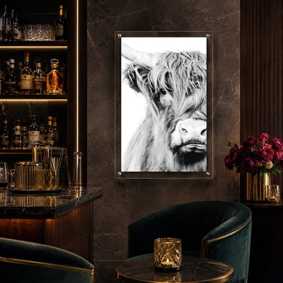 Fringe Benefits Acrylic Wall Art Print