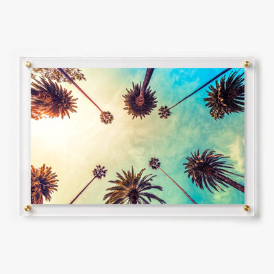 Golden Hour Palms Acrylic Wall Art Print