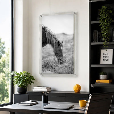 Hay There Black & White Acrylic Wall Art Print