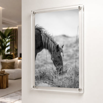 Hay There Black & White Acrylic Wall Art Print