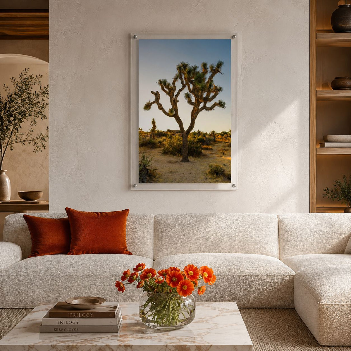 Joshua Glow Acrylic Wall Art Print