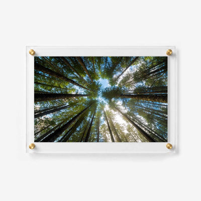 Look Up Acrylic Wall Art Print