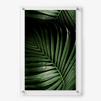 Midnight Palm Acrylic Wall Art Print
