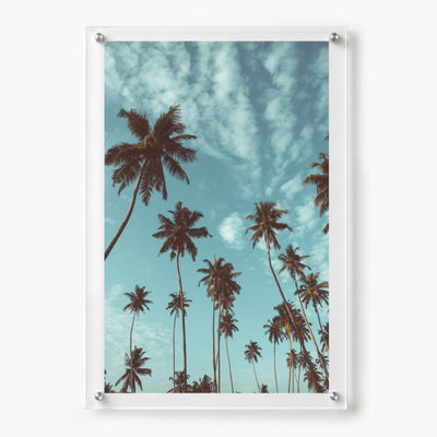 Palm Parade Acrylic Wall Art Print