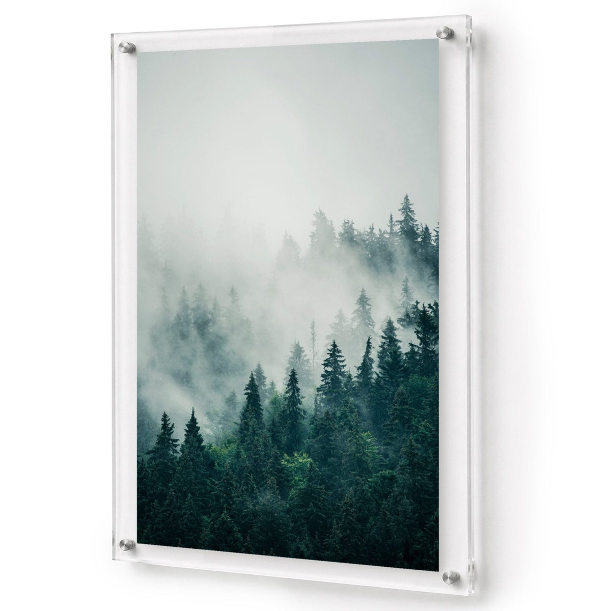 Pine & Seek Acrylic Wall Art Print