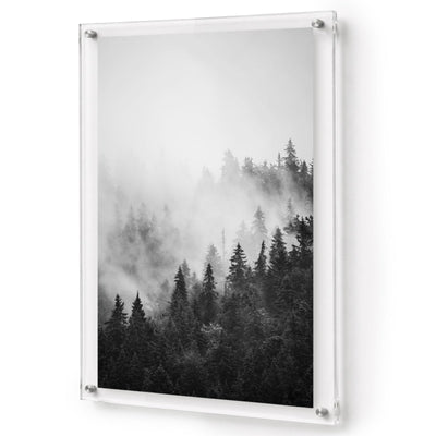 Pine & Seek Black & White Acrylic Wall Art Print