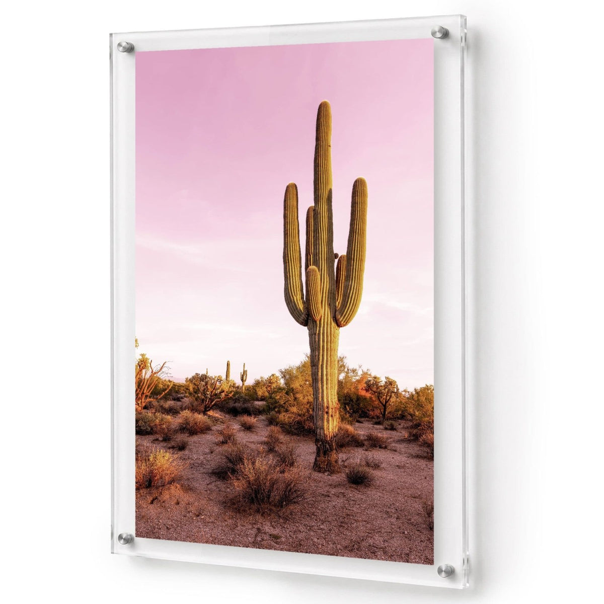 Pink Desert Club Acrylic Wall Art Print