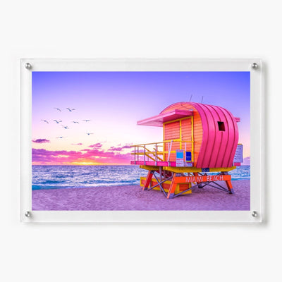 Pink Patrol Acrylic Wall Art Print