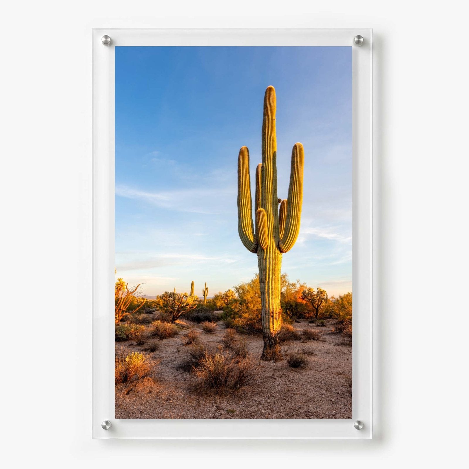 Standing Tall Acrylic Wall Art Print