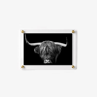 The Highlander Acrylic Wall Art Print
