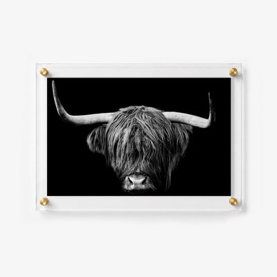 The Highlander Acrylic Wall Art Print