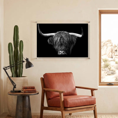 The Highlander Acrylic Wall Art Print
