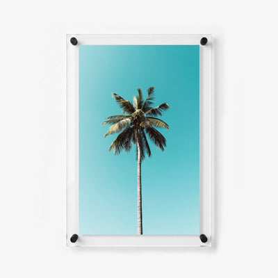 The Lone Palm Acrylic Wall Art Print