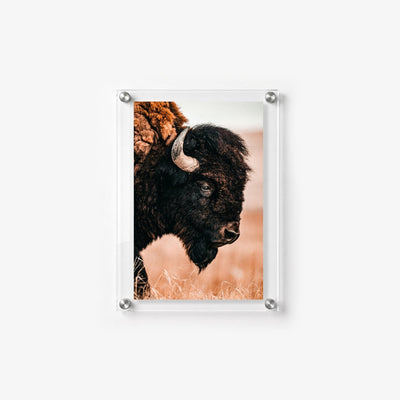 The Lookout Acrylic Wall Art Print