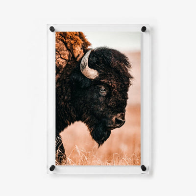 The Lookout Acrylic Wall Art Print