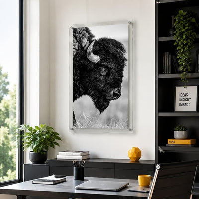 The Lookout Black & White Acrylic Wall Art Print