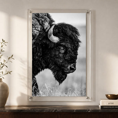 The Lookout Black & White Acrylic Wall Art Print